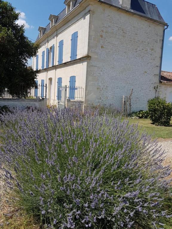 le domaine de bellevue Bed and Breakfast Tanzac Eksteriør billede